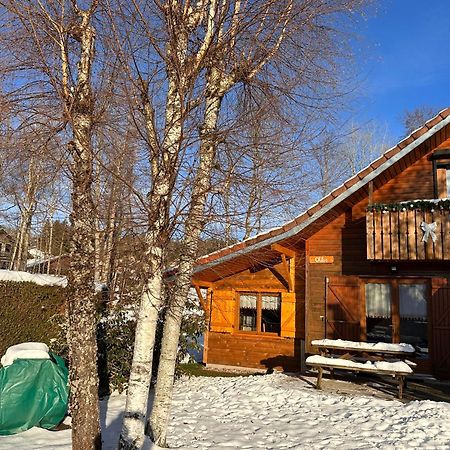 Chalet Chloe - Wifi, Bbq, Parking Xonrupt-Longemer Zewnętrze zdjęcie