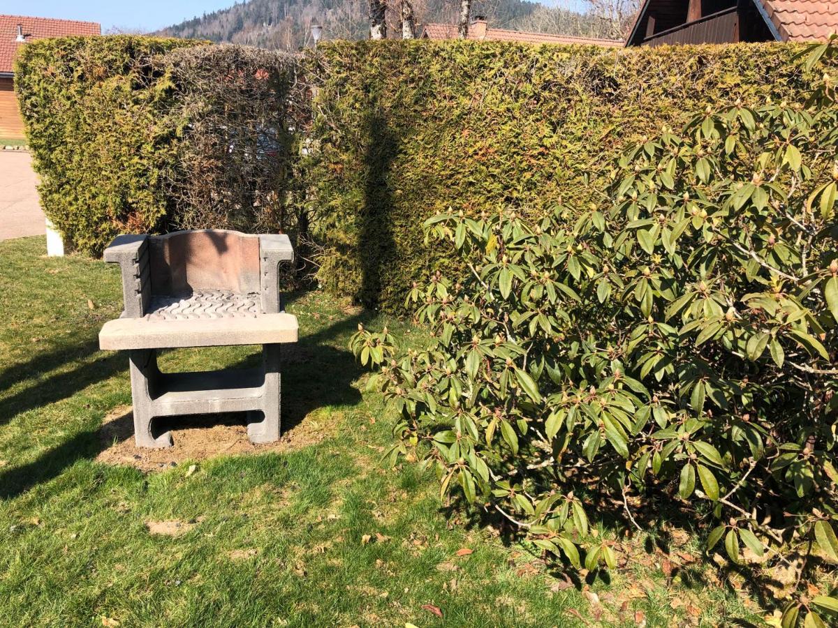 Chalet Chloe - Wifi, Bbq, Parking Xonrupt-Longemer Zewnętrze zdjęcie